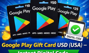 Home 22 Google Play Gift Card USD (USA)
