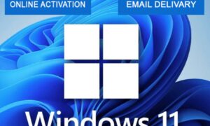 Home 21 Windows 11 Pro Multilanguage Original License Key – Instant Digital Delivery